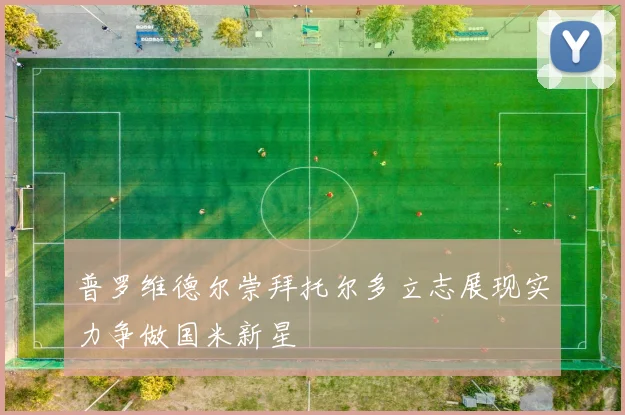 普罗维德尔崇拜托尔多立志展现实力争做国米新星